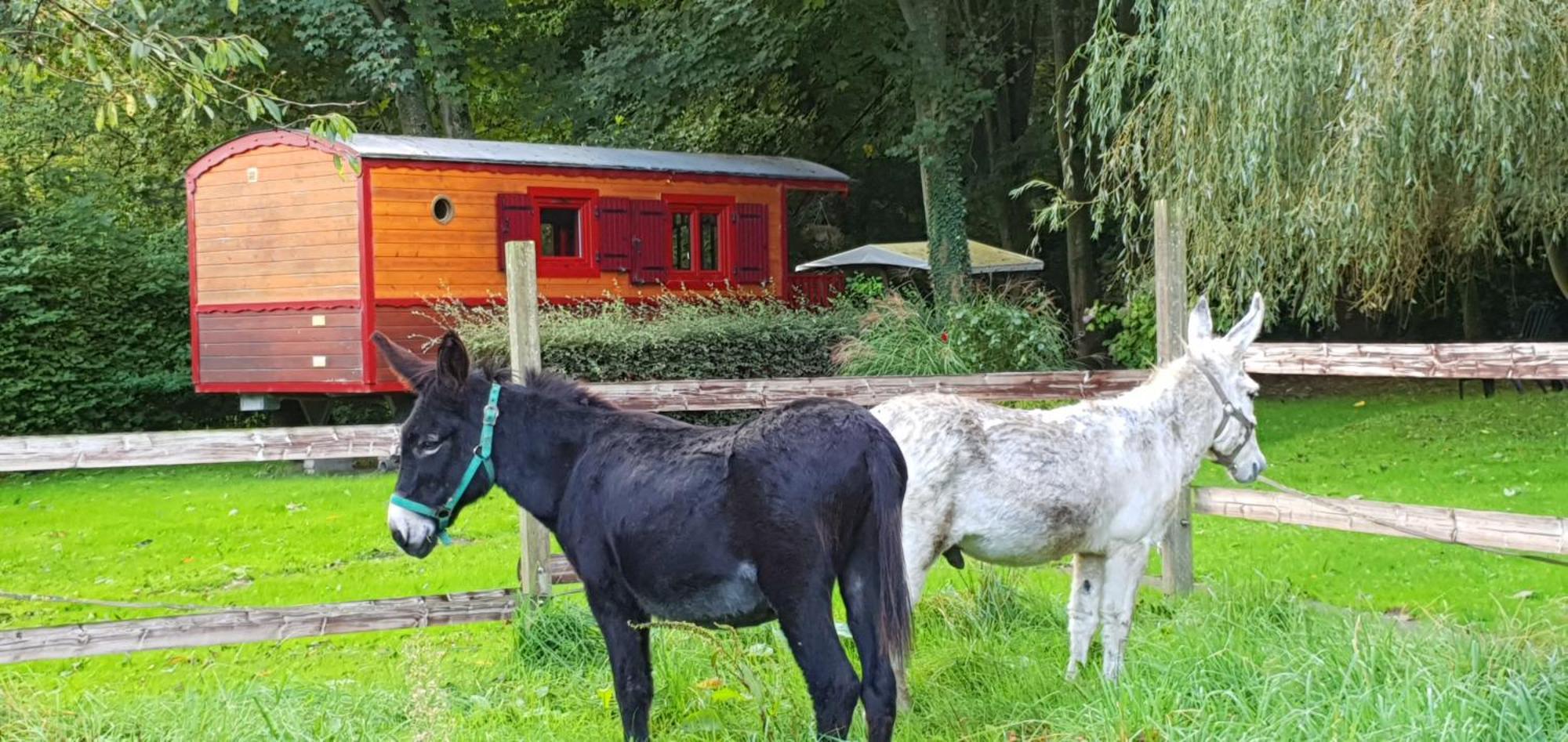 La Fermette Des Ramolleux Villa Crécy-en-Ponthieu Oda fotoğraf